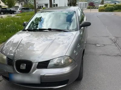 Używany Seat Ibiza 75 KM (55 kW) 2004 Szary Hatchback