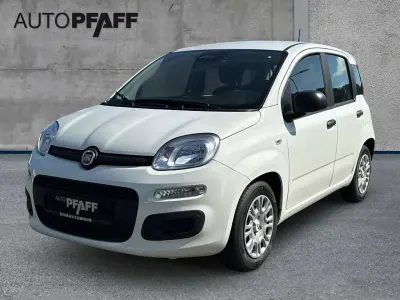 Nouvelle Fiat Panda Icon 65 ch (47 kW) 2026 Blanc Citadine