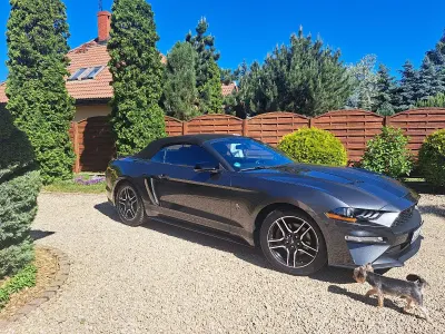 Occasion Ford Mustang