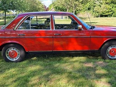 Rot Gebraucht 1982 Mercedes 200 Limousine | 24.800 €