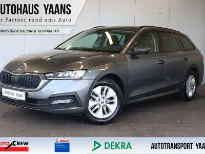 Gebraucht Skoda Octavia