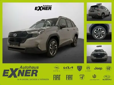 Gebraucht Subaru Forester