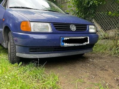 VW Polo