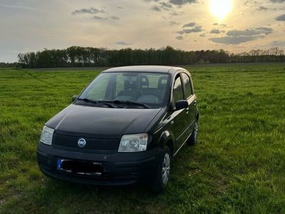 gebraucht Fiat Panda 1.2 Liter Benzin