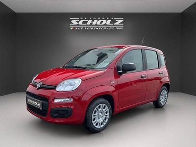 Neu Fiat Panda 69 PS (50 kW) 2025 Rot Kleinwagen