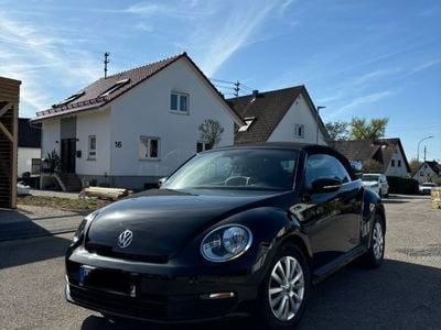 VW Beetle