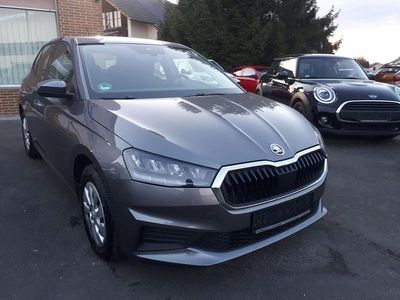 Gebraucht Skoda Fabia Ambition 110 PS (80 kW) 2022 Grau Kleinwagen