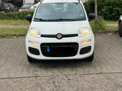 Używany Fiat Panda 69 KM (50 kW) 2014 Biały Hatchback