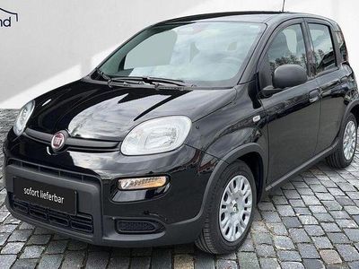 Gebraucht Fiat Panda 69 PS (50 kW) 2024 Schwarz Kleinwagen