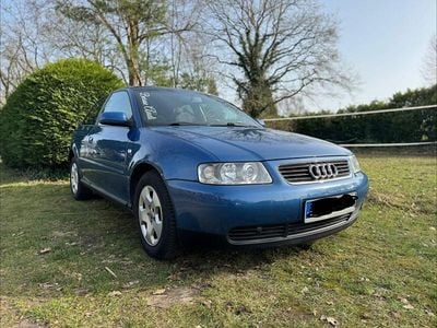 Second-hand Audi A3 101 CP (74 kW) 2000 Albastru Hatchback