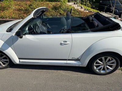 VW Beetle
