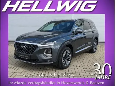 Gebraucht Hyundai Santa Fe Premium 200 PS (147 kW) 2020 Rain forest metallic (metallic) SUV