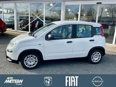Gelato weiss Gebraucht 2025 Fiat Panda Kleinwagen | 14.990 € (Fairer Preis)