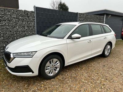 gebraucht Skoda Octavia 1.0 TSI Active APP PDC Tempomat L