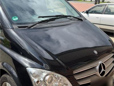 Mercedes Viano