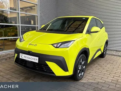 Gebraucht BYD Dolphin Surf
