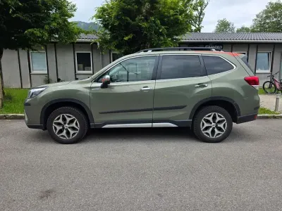 Gebraucht Subaru Forester