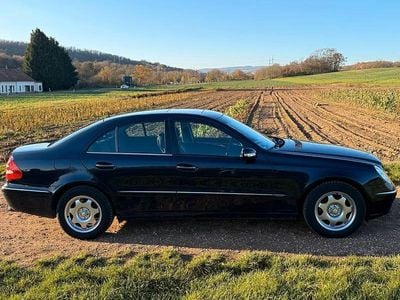 Gebraucht Mercedes E240 177 PS (130 kW) 2003 Blau Limousine