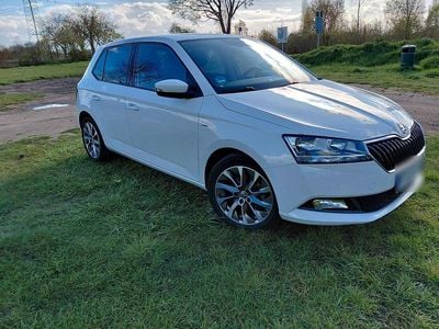 Gebraucht Skoda Fabia Clever 60 PS (44 kW) 2021 Weiß Kleinwagen