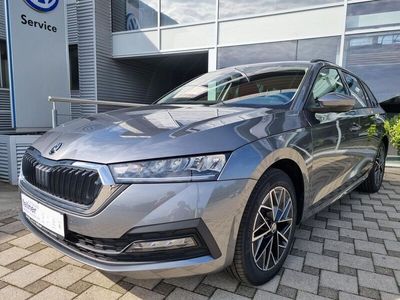 Gebraucht Skoda Octavia Ambition 150 PS (110 kW) 2023 Graphite grau metallic Kombi