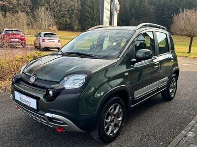 Gebraucht Fiat Panda Cross Cross 86 PS (63 kW) 2017 Grün Kleinwagen