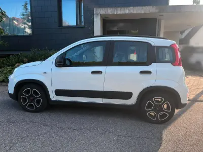 Gebraucht Fiat Panda City Life 70 PS (51 kW) 2021 Weiß Kleinwagen