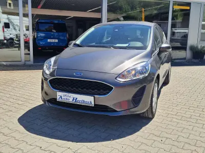 Gebraucht Ford Fiesta Trend 101 PS (74 kW) 2019 Magneticgrau (metallic) Kleinwagen