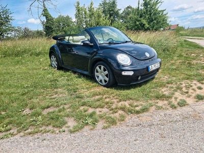 VW Beetle