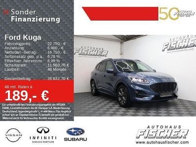 Gebraucht Ford Kuga ST-Line 150 PS (110 kW) 2023 Blau SUV