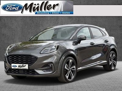 Usata Ford Puma ST-Line X 155 CV (114 kW) 2020 Grigio SUV