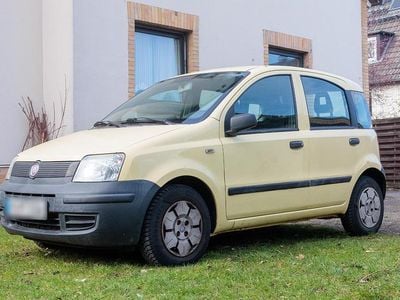 Gebraucht Fiat Panda Active 54 PS (39 kW) 2009 Kleinwagen
