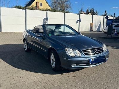 Gebraucht Mercedes CLK200 Avantgarde 184 PS (135 kW) 2004 Blau Cabrio
