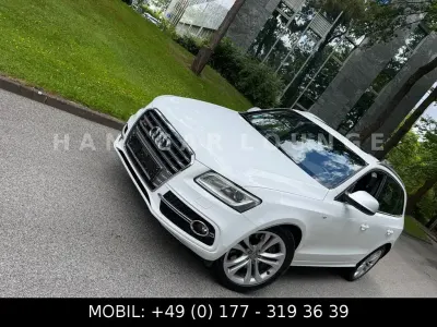 Gebraucht Audi SQ5 Sport 313 PS (230 kW) 2013 Weiß SUV
