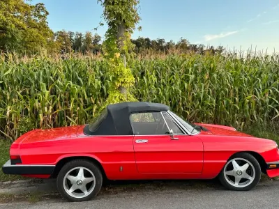Gebraucht Alfa Romeo Spider 126 PS (92 kW) 1984 Rot Cabrio