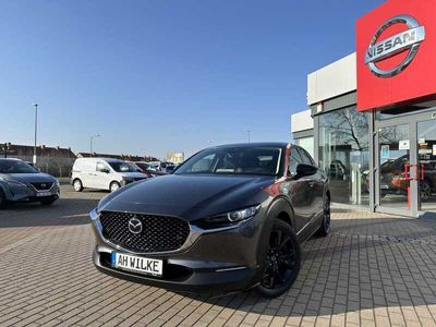 gebraucht Mazda CX-30 2.0 SKYACTIV-X-M Hybrid Homura AWD/360°/AHK