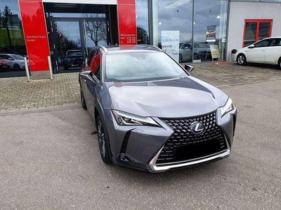 Lexus UX 250h