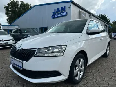 Gebraucht Skoda Fabia Active 60 PS (44 kW) 2019 Weiß Kleinwagen