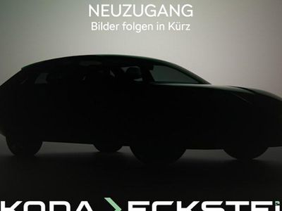 Neu Skoda Kamiq Tour 116 PS (85 kW) 2026 Blau SUV