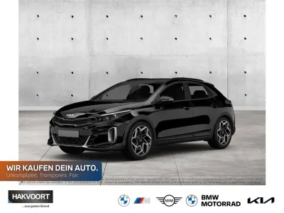 Neu Kia XCeed Spirit 180 PS (132 kW) 2026 Zilinaschwarz SUV