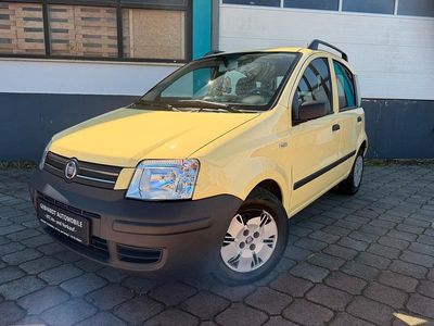 Usata Fiat Panda 60 CV (44 kW) 2008 Giallo Utilitaria