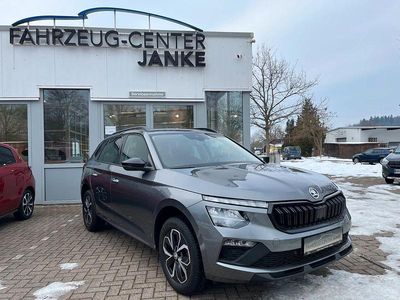 Gebraucht Skoda Kamiq Selection 150 PS (110 kW) 2024 Grau SUV
