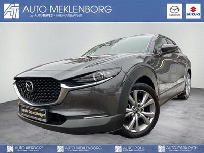 Gebraucht Mazda CX-30 Selection 150 PS (110 kW) 2021 Grau SUV