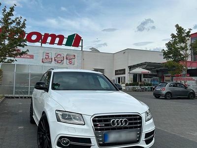 Gebraucht Audi SQ5 Competition 326 PS (239 kW) 2017 Weiß SUV
