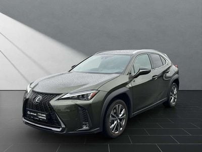 Gebraucht Lexus UX 250h F Sport 184 PS (135 kW) 2023 Grün SUV
