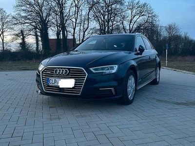 Blau Gebraucht 2020 Audi A3 e-tron Kleinwagen | 15.000 € (Teuer)