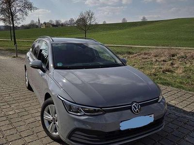 Brugt VW Golf VIII Life 110 HK (80 kW) 2023 Grå Stationcar