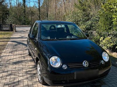 Gebraucht VW Lupo 50 PS (36 kW) 2002 Schwarz Kleinwagen