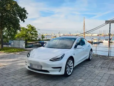 Gebraucht Tesla Model 3 Standard Range Plus 239 kW (325 PS) 2019 Weiß Limousine