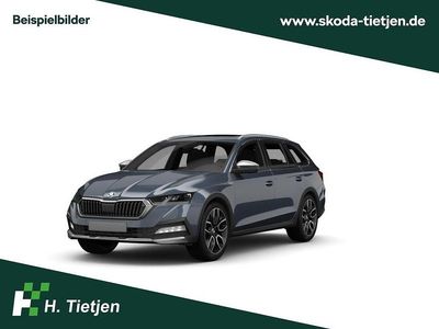 Grau Neu 2025 Skoda Octavia Limousine | 30.290 € (Fairer Preis)