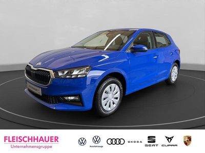 Grau Neu 2025 Skoda Fabia Tour Kleinwagen | 26.490 € (Etwas zu teuer)